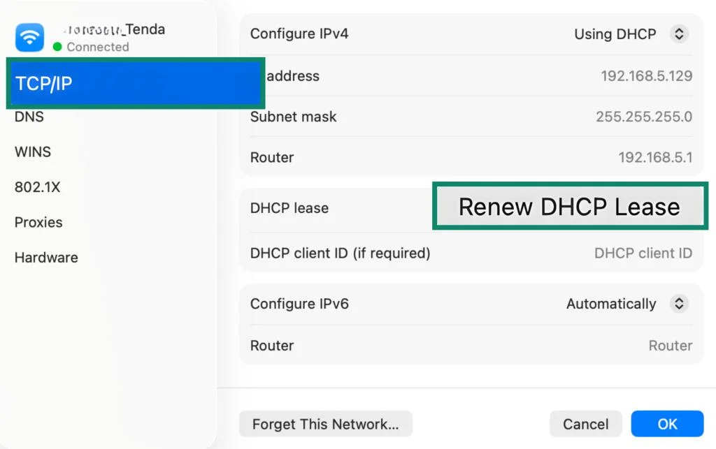 macOS Wi-Fi network details window with the TCP/IP tab selected and the Renew DHCP Lease button highlighted